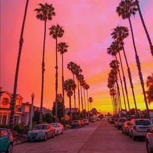 Meet your Posher, Kira